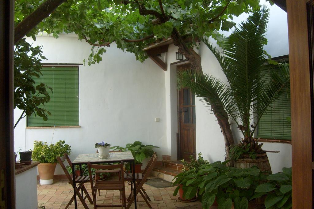 Senorio De Monterruiz Guest House Casas de Santa Cruz Ngoại thất bức ảnh